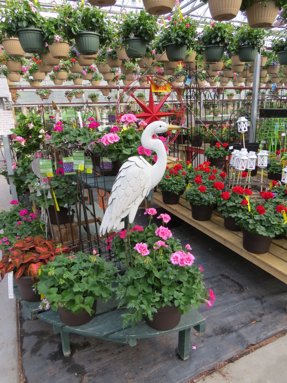 to Alton Greenhouse & Garden Centre Alton Greenhouses